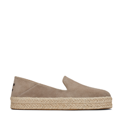 TOMS - Carolina