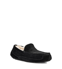 UGG - Ascot