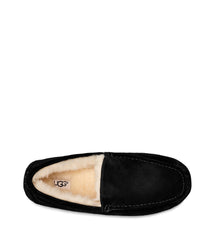 UGG - Ascot