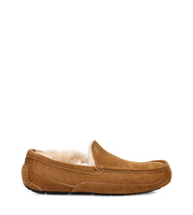UGG - Ascot