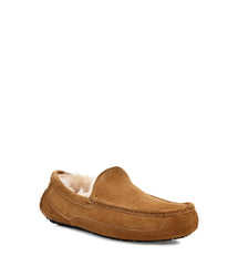 UGG - Ascot