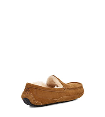 UGG - Ascot