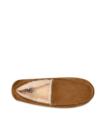 UGG - Ascot