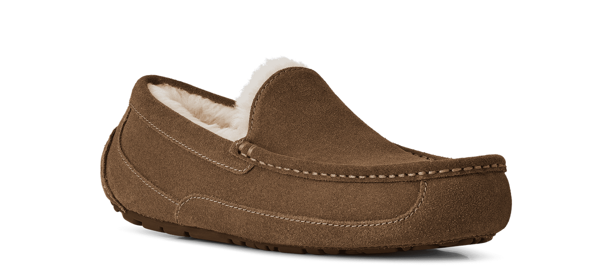 UGG - Ascot