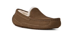 UGG - Ascot