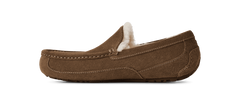 UGG - Ascot