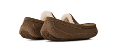 UGG - Ascot