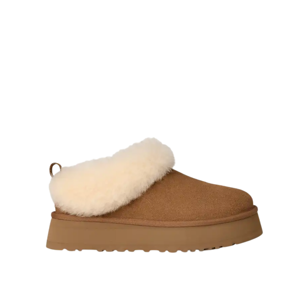 UGG - Women's Tazzelle Slipper – Shoetopia